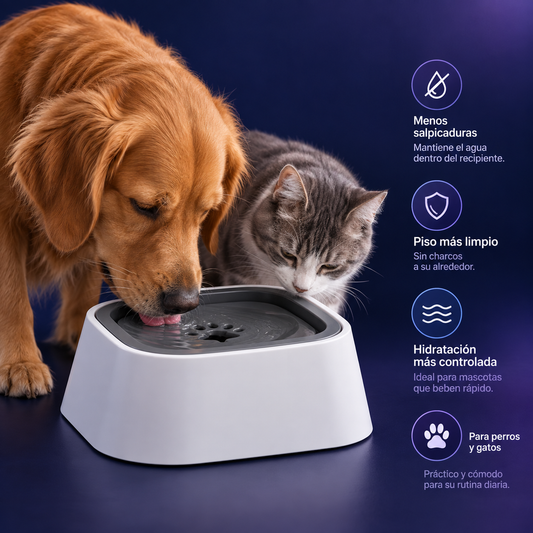 Bebedero Antisalpicaduras para Perros y Gatos – No Splashes