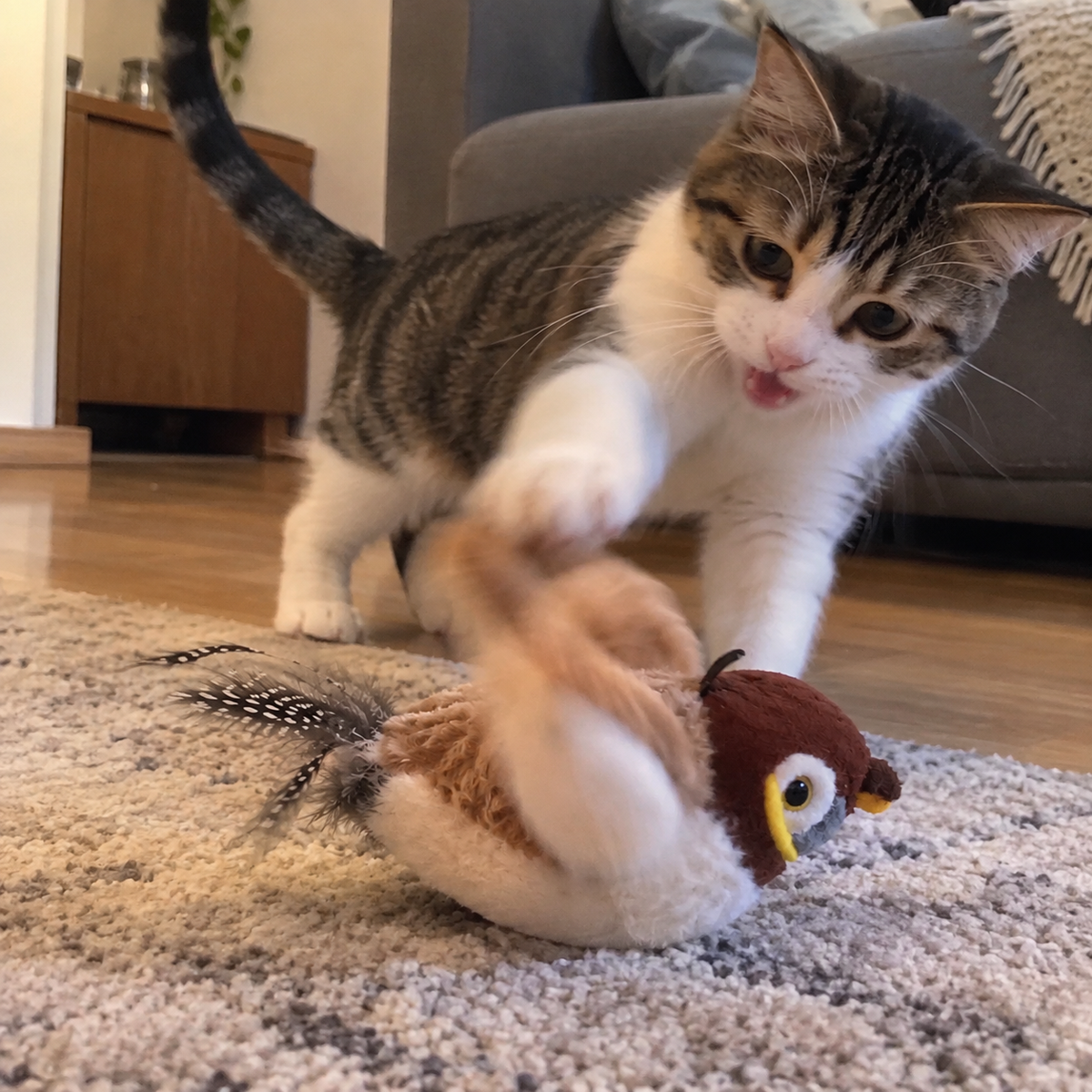 Juguete Interactivo para Gatos | Pájaro con Movimiento y Sonido