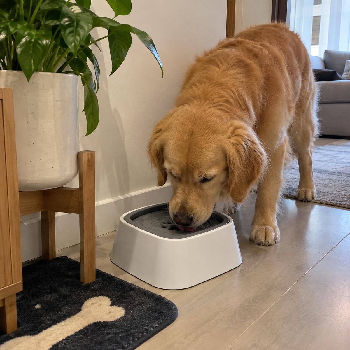 Bebedero Antisalpicaduras para Perros y Gatos – No Splashes
